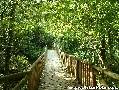 covadonga,casas de aldea rurales,casa rural ,casas de aldea,rurales,casa rural cangas de onis